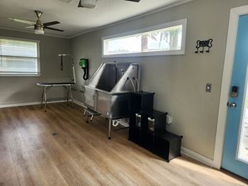 Pet spa & pet wash